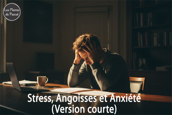 Anxiété, Stress et Angoisses : Les 7 Pierres pour Apaiser, Calmer et Retrouver la Sérénité (Version courte) | Par Pascal Artisan