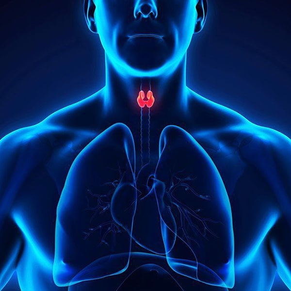 Les meilleures pierres contre les problèmes de la glande thyroïde