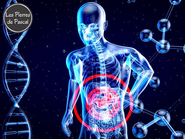 Les meilleures pierres pour le transit intestinal | Par Pascal Artisan