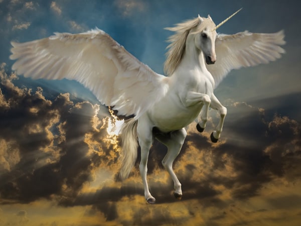 Dessin d'une licorne qui cabre symboles de la licorne