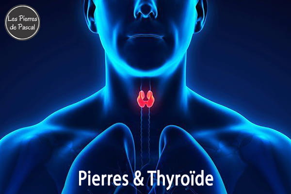 Article de blog "Glande Thyroïde : Les Meilleures Pierres pour Soutenir Naturellement | Par Pascal Artisan"
