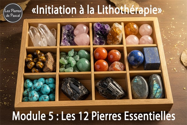 Module 5 : Les 12 Pierres Essentielles pour Débuter en Lithothérapie | Par Pascal Artisan