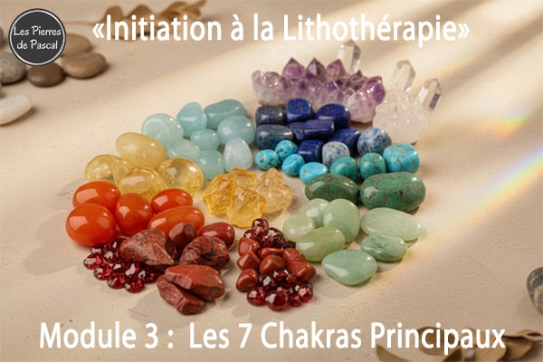 Blog Formation : Module 3 : Les 7 Chakras Principaux - Guide Complet | Par Pascal Artisan