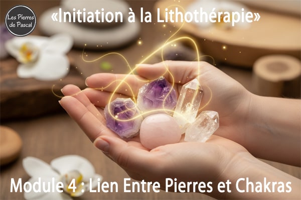 Blog Formation : Module 4 : Comprendre le Lien Entre Pierres et Chakras | Par Pascal Artisan