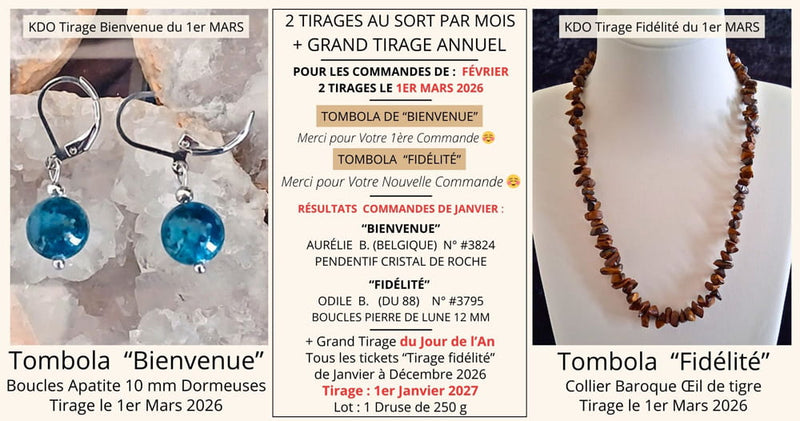 Résultats du tirage au sort du 1er février 2026 pour les commandes de janvier 2026