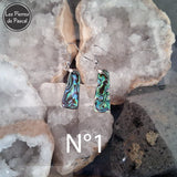 Retour des Boucles d'Oreilles en Ormeau Arc en Ciel et Crochets en Acier 304