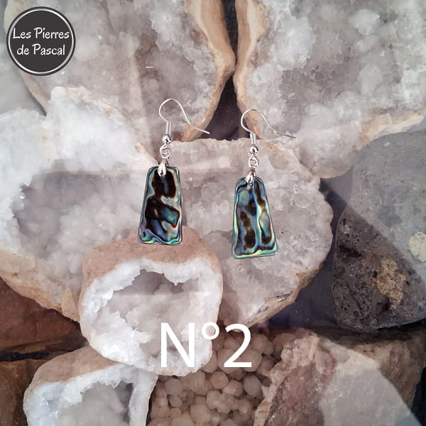 Retour des Boucles d'Oreilles en Ormeau Arc en Ciel et Crochets en Acier 304