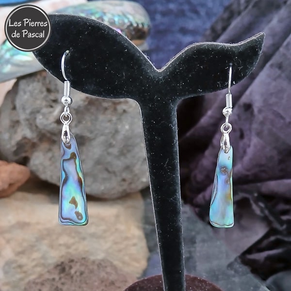 Nouvelles Paires de Longues Boucles d'Oreilles en Coquille d'Ormeau Arc en Ciel et Crochets en Acier Inoxydable 304