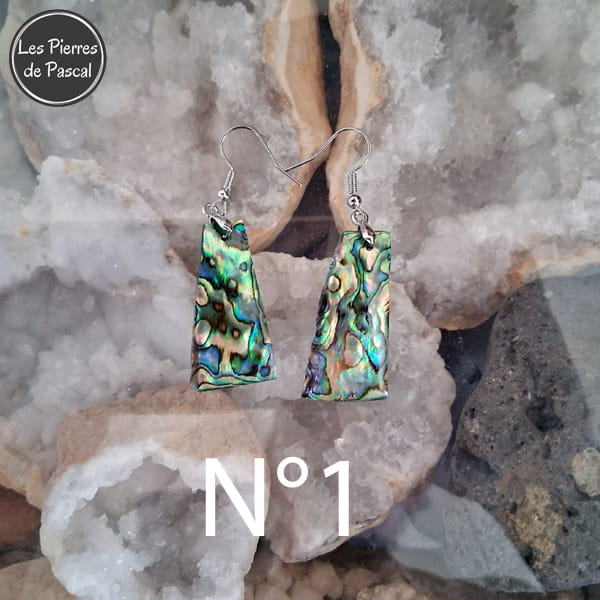 Paires de Larges Boucles d'Oreilles en Ormeau de Nouvelle Zélande et Crochets en Acier 304 N°1