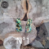Paires de Larges Boucles d'Oreilles en Ormeau de Nouvelle Zélande et Crochets en Acier 304 N°1