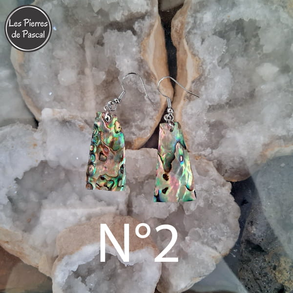 Paires de Larges Boucles d'Oreilles en Ormeau de Nouvelle Zélande et Crochets en Acier 304 N°2