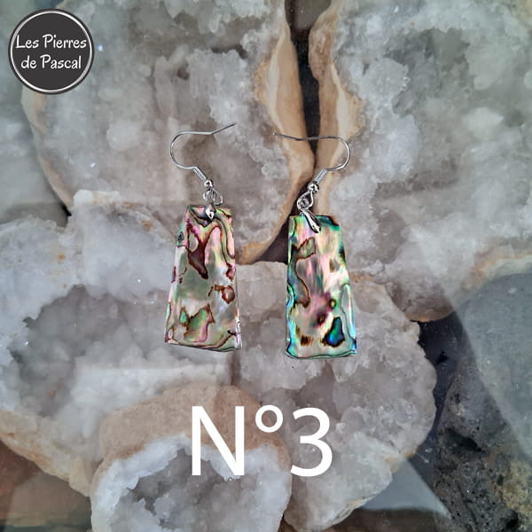 Paires de Larges Boucles d'Oreilles en Ormeau de Nouvelle Zélande et Crochets en Acier 304 N°3