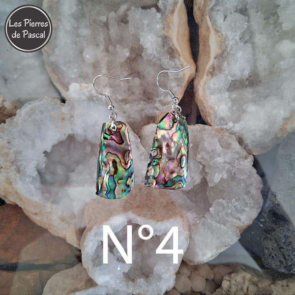Paires de Larges Boucles d'Oreilles en Ormeau de Nouvelle Zélande et Crochets en Acier 304 N°4