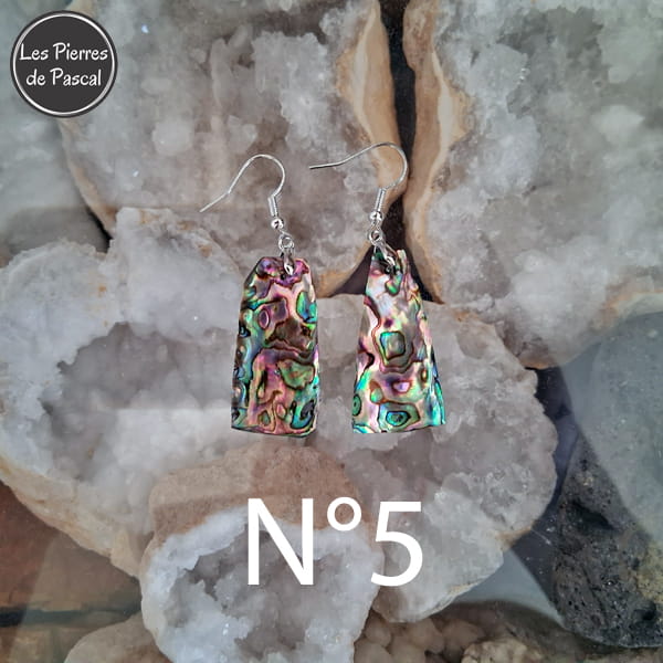 Paires de Larges Boucles d'Oreilles en Ormeau de Nouvelle Zélande et Crochets en Acier 304 N°5