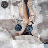 Paire de Boucles d'Oreilles Labradorite de 12 mm avec des Dormeuses en Acier Inoxydable