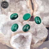 Cabochon Malachite Polie et Ovale du Congo 2A | Arthrose