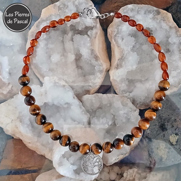 Collier pour Chien en Œil de Tigre 2A 10 mm et Ambre Cognac de 6 - 7 mm de Longueur 40 cm