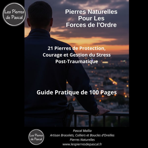 Couverture E-book Forces de l'Ordre : 21 Pierres pour Gérer le Stress Post-Traumatique, la Protection et la Résilience