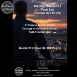 Couverture E-book Forces de l'Ordre : 21 Pierres pour Gérer le Stress Post-Traumatique, la Protection et la Résilience