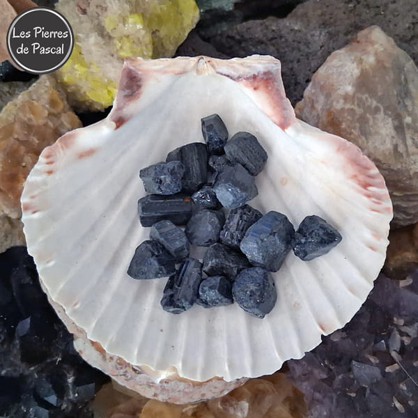 Lot de Tourmaline Noire 1 - 2 cm du Brésil Grade A de 50 g dans une coquille Saint-Jacques