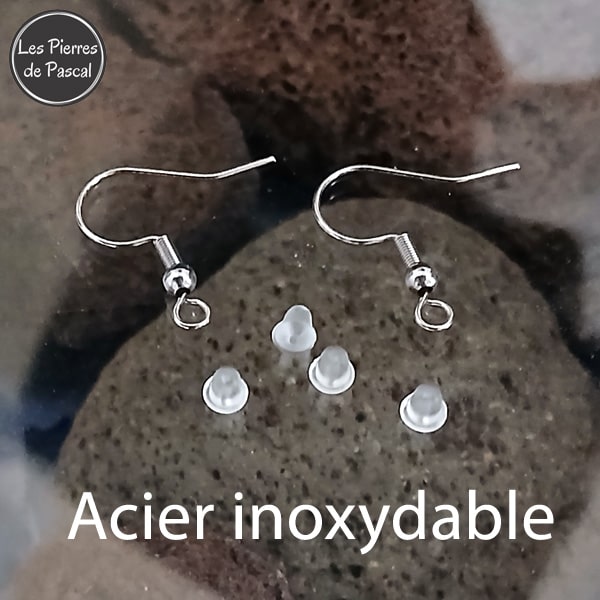 Crochets boucles d'oreilles acier inoxydable