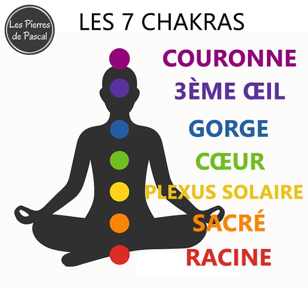 Coffre avec Gros Minéraux Bruts — 13 Pierres de 4-6 cm