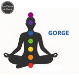 dessin silhouette avec le point du chakra gorge