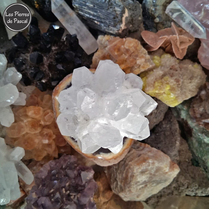 Druse de Cristal de Roche ou Quartz Hyalin du Brésil avec 15 Pointes de Grade 3A de 451 g