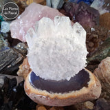 Druse de Cristal de Roche ou Quartz Hyalin du Brésil avec 15 Pointes de Grade 3A de 451 g