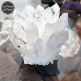 Druse de Cristal de Roche ou Quartz Hyalin du Brésil avec 20 Pointes de Grade 3A+ de 324 g