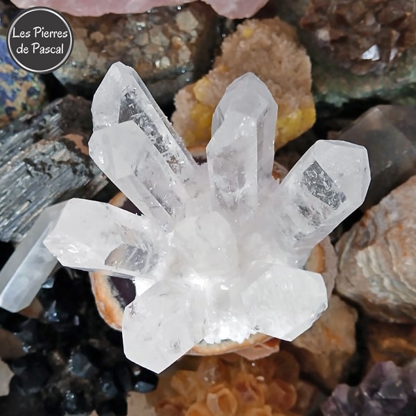 Druse de Cristal de Roche ou Quartz Hyalin avec 9 Pointes