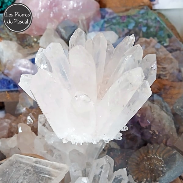 Druse de Cristal de Roche ou Quartz Hyalin du Brésil avec 16 Pointes de Grade 3A+ de 443 g