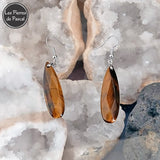 Boucles d'Oreilles Pierres naturelle Œil et Crochets en Acier Inoxydable