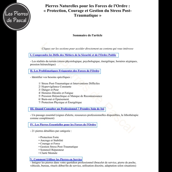 Page 1 sommaire E-book Forces de l'Ordre : 21 Pierres pour Gérer le Stress Post-Traumatique, la Protection et la Résilience