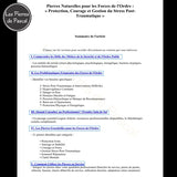 Page 1 sommaire E-book Forces de l'Ordre : 21 Pierres pour Gérer le Stress Post-Traumatique, la Protection et la Résilience