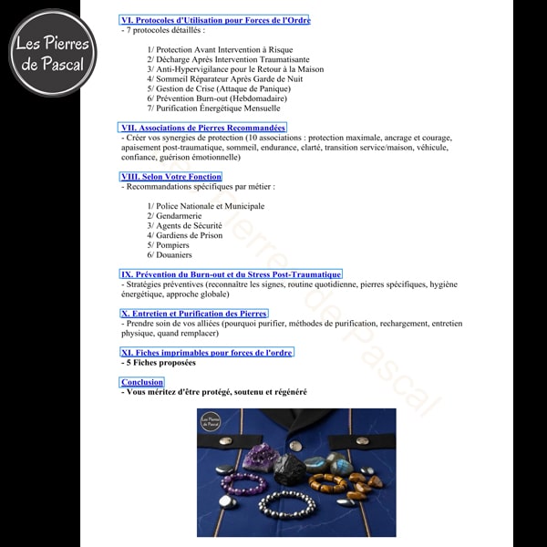 Page 2 sommaire E-book Forces de l'Ordre : 21 Pierres pour Gérer le Stress Post-Traumatique, la Protection et la Résilience