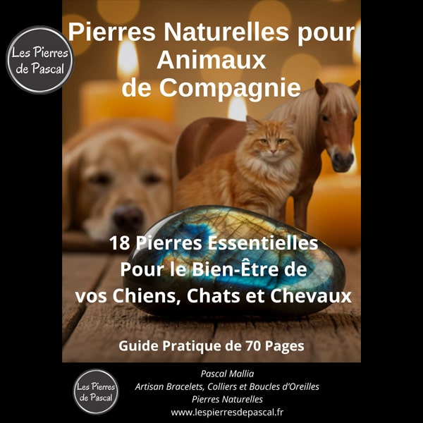 Couverture E-book Pierres Naturelles pour Animaux de Compagnie - Guide Complet 70 Pages par Pascal Artisan