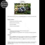 E-book Pierres Naturelles pour Soignants - Guide Complet 60 Pages