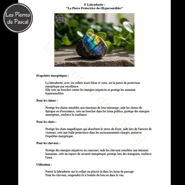 Pierre labradorite E-book Pierres Naturelles pour Animaux de Compagnie - Guide Complet 70 Pages par Pascal Artisan