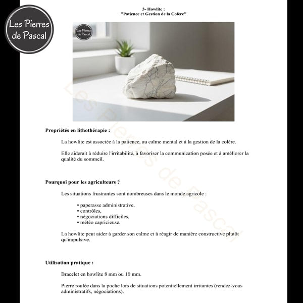 Page Howlite E-book 