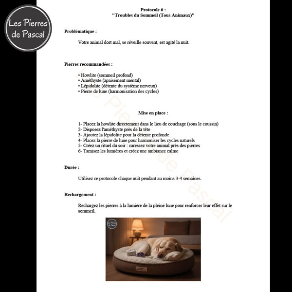 Protocole troubles du sommeil E-book Pierres Naturelles pour Animaux de Compagnie - Guide Complet 70 Pages par Pascal Artisan