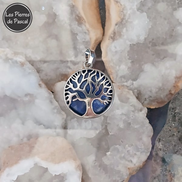 Pendentif Arbre de Vie Rond en Lapis-Lazuli et Acier Argenté avec une Chaîne de 50 cm