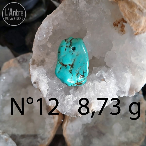 Encore 6 Nouveaux Pendentifs en Turquoise Semi-Brute et Brillante d'Arizona avec une Bélière et une Chaîne en Argent Sterling 925