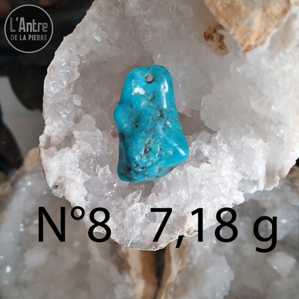 Encore 6 Nouveaux Pendentifs en Turquoise Semi-Brute et Brillante d'Arizona avec une Bélière et une Chaîne en Argent Sterling 925