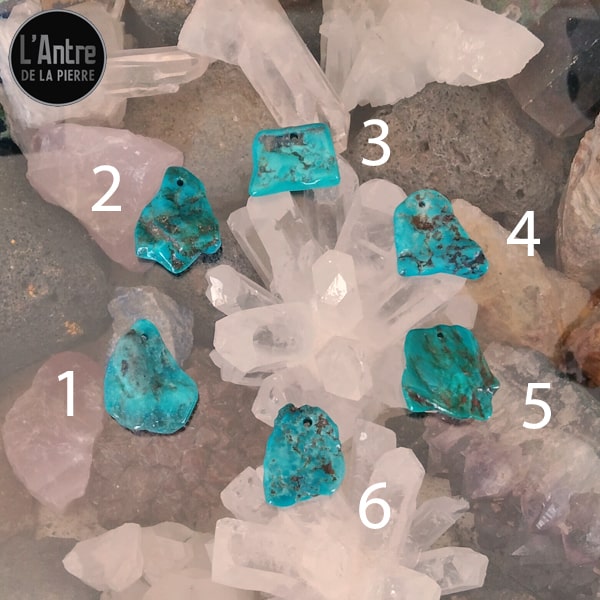 6 Nouveaux Pendentifs en Turquoise Semi-Brute et Brillante d'Arizona avec une Bélière et une Chaîne en Argent Sterling 925