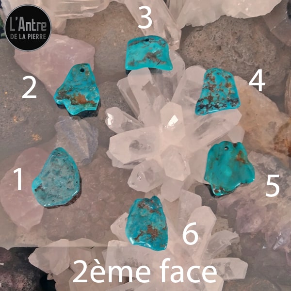 6 Nouveaux Pendentifs en Turquoise Semi-Brute et Brillante d'Arizona avec une Bélière et une Chaîne en Argent Sterling 925