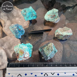 Pierres Brutes de Chrysocolle Shattuckite Grade 2A de Namibie de 30 - 40 mm avec une règle