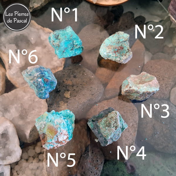 Pierres Brutes de Chrysocolle Shattuckite Grade 2A de Namibie de 30 - 40 mm