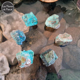 6 Pierres Brutes de Chrysocolle Shattuckite Grade 2A de Namibie de 30 - 40 mm