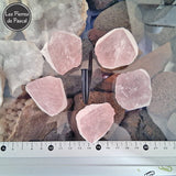 Pierre Brute Quartz Rose du Brésil Grade A 3 x 4 cm de 35 g avec une règle